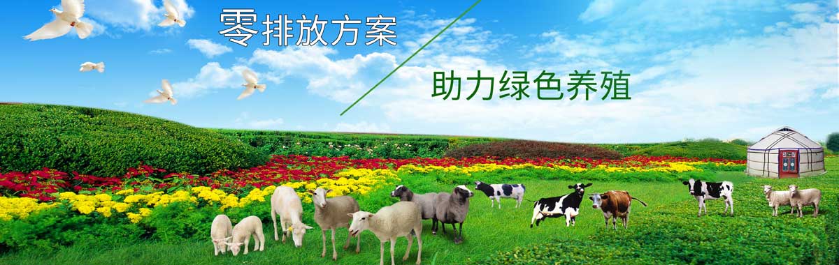 &#24320;&#20113;&#30331;&#38470;&#20837;&#21475;&#45;&#24320;&#20113;&#40;&#20013;&#22269;&#41;